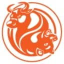 FxOpen logo